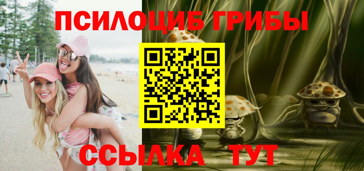 Гурьевск  Галлюциногенные грибы GOLDEN TEACHER  Вход с VPN  Галлюциногенные грибы ЛСД 